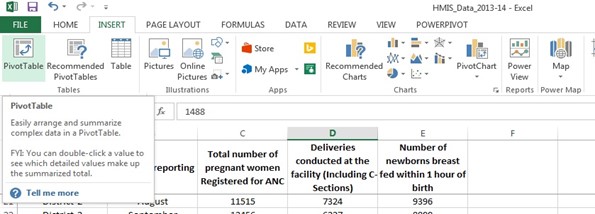 Using Pivot Tables in Microsoft Excel