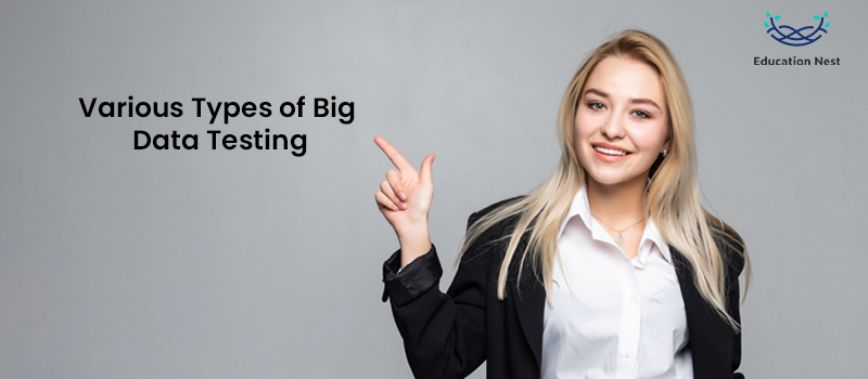 Various Types of Big Data Testing