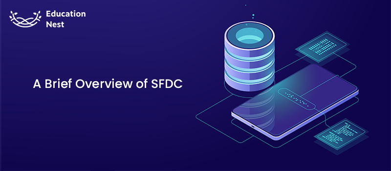 A Brief Overview of SFDC