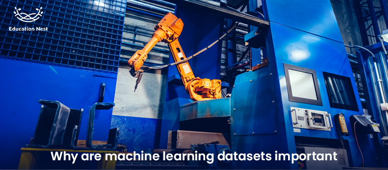 Why are machine learning datasets important?