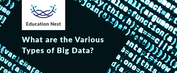 What are the Various Types of Big Data?