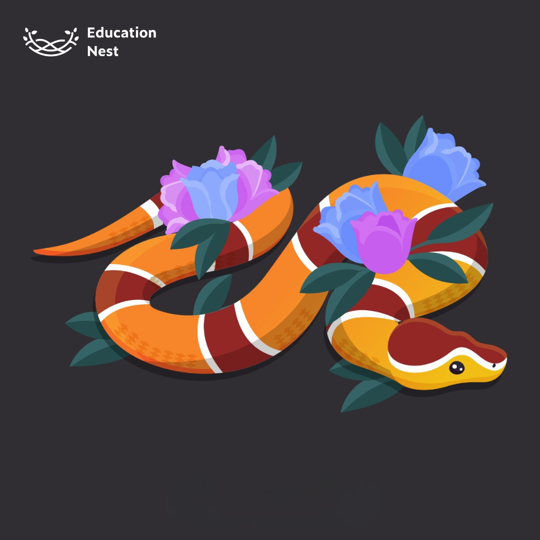 Snake Game Python Code