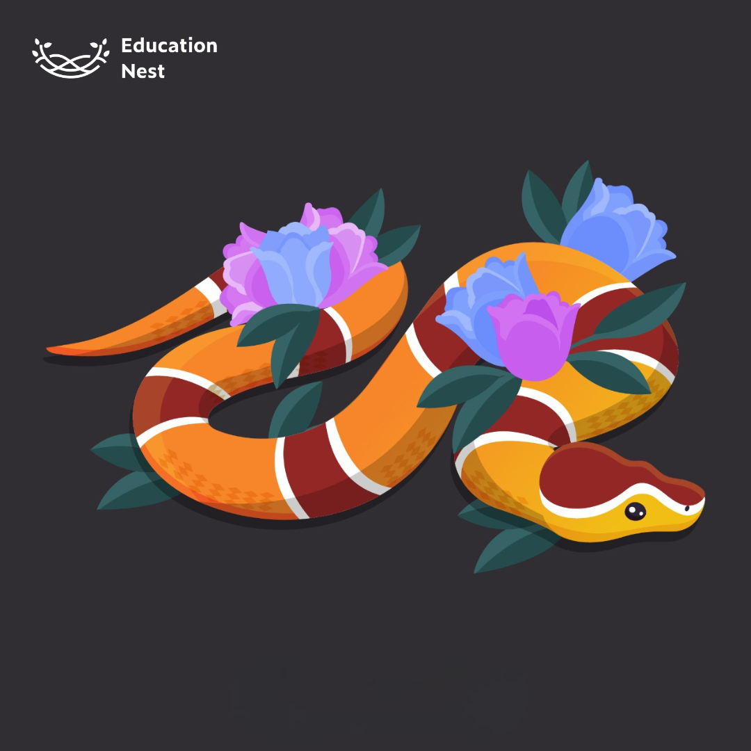 Cute Snake io - Play on