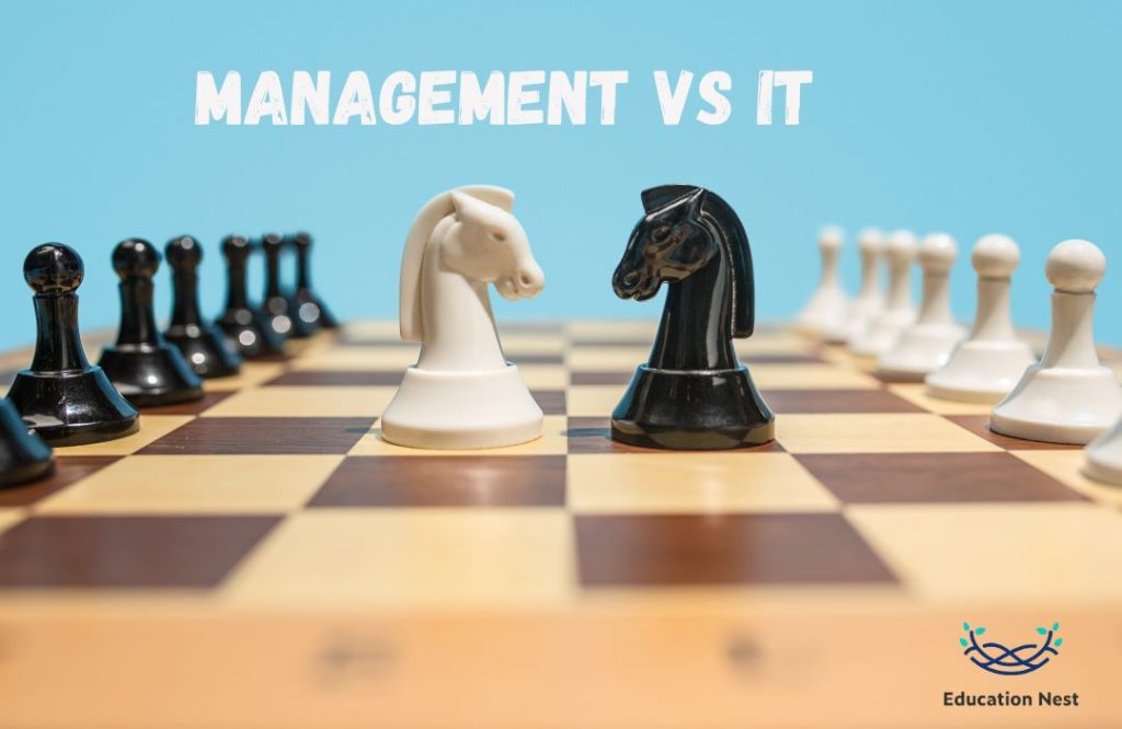 Management and IT illustration image