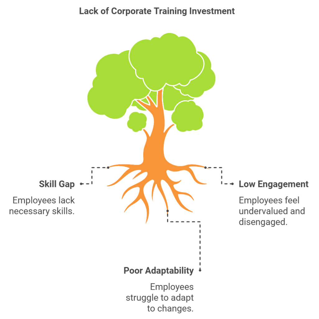 The Importance of Corporate Training Provider