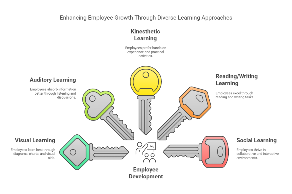 5 Learning Styles and How to Cater to Them in Employee Development